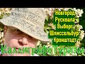 Путешествие по России на автомобиле во время самоизоляции 2020 Новгород Рускеала Выборг Шлиссельбург