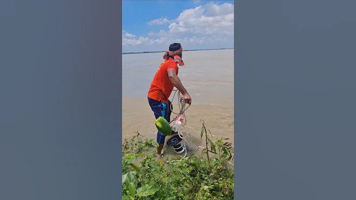 Shark fishing with 3kg Papaya bait #fishinglife #fishing #hookfishing