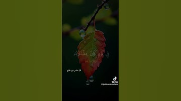 سورة المعارج