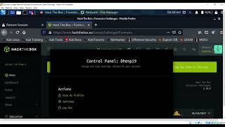 Tutorial Forensic Challange USB-Ripper at HackTheBox