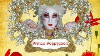 PRINCE POPPYCOCK-the last unicorn-TOP10.americas got talent-contestant Top 10