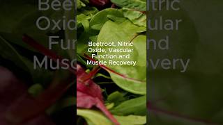 Beetroot, Nitric Oxide, Vascular Function and Muscle Recovery