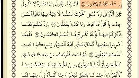 سورة البقرة الصفحة 11 من الآية 70 الى 76 عبدالباسط عبدالصمد مجود