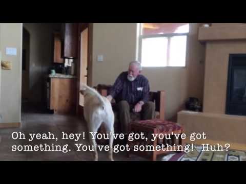 dog-therapy-for-a-man-with-alzheimer