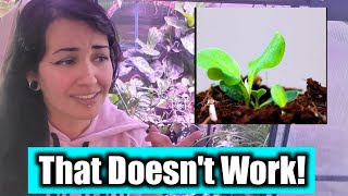 12 Clever Blossom Plant Hack Reaction Video