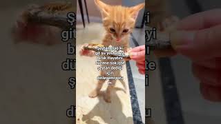 Ama Kimse Abone Olmuyur Yu Beyenmiyor Bu Da Tutmaz Zaten Ben Çoook Üzgünün