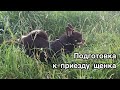 КАК ПОДГОТОВИТЬСЯ К ПРИЕЗДУ ЩЕНКА