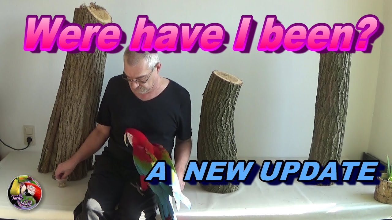 Were have I been? - A NEW UPDATE