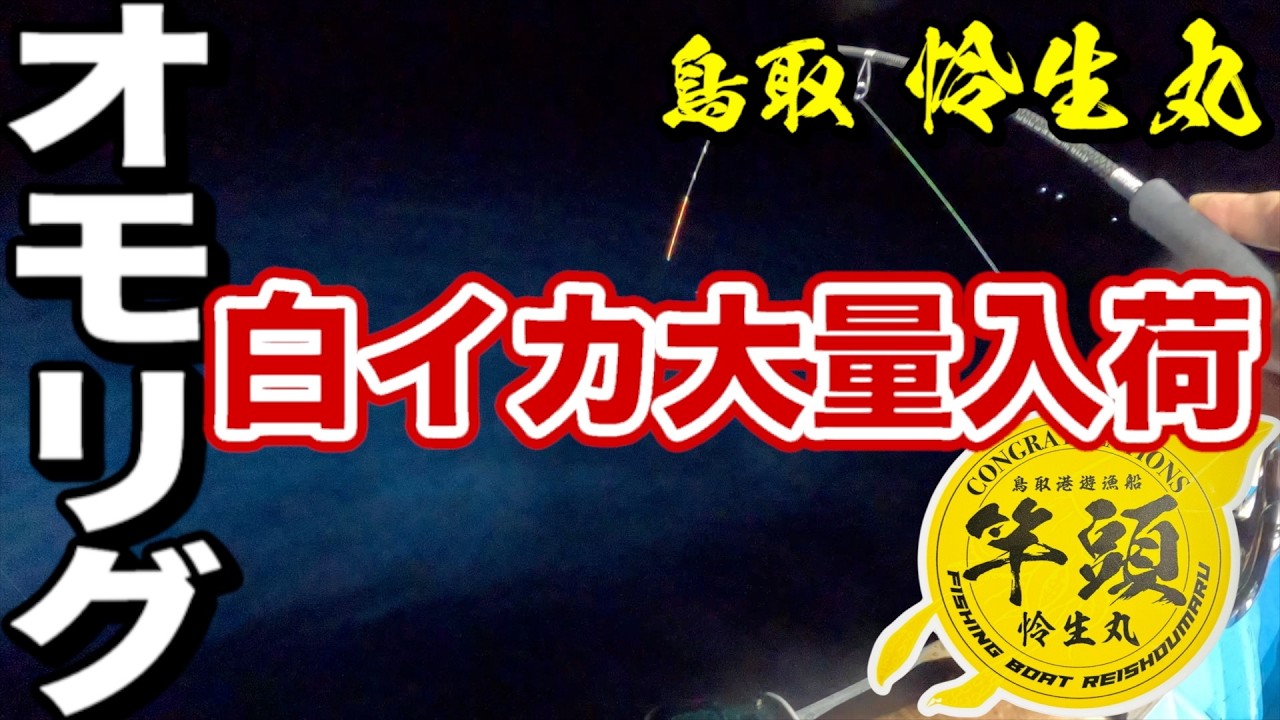 【釣果倍増】イカメタルの釣果を伸ばす秘訣は「タックル選択」にあり！スピニングとベイトの使い分けを徹底解説！