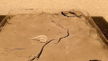 The first biodegradable seed robot, able to change shape in response to humidity