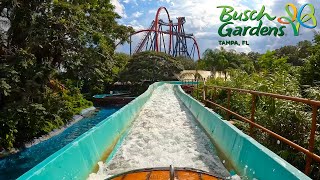 Stanley Falls Flume OnRide POV 4K | Busch Gardens Tampa Bay