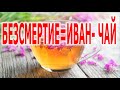 Технологии БеЗсмертия. Иван чай | Виктор Максименков