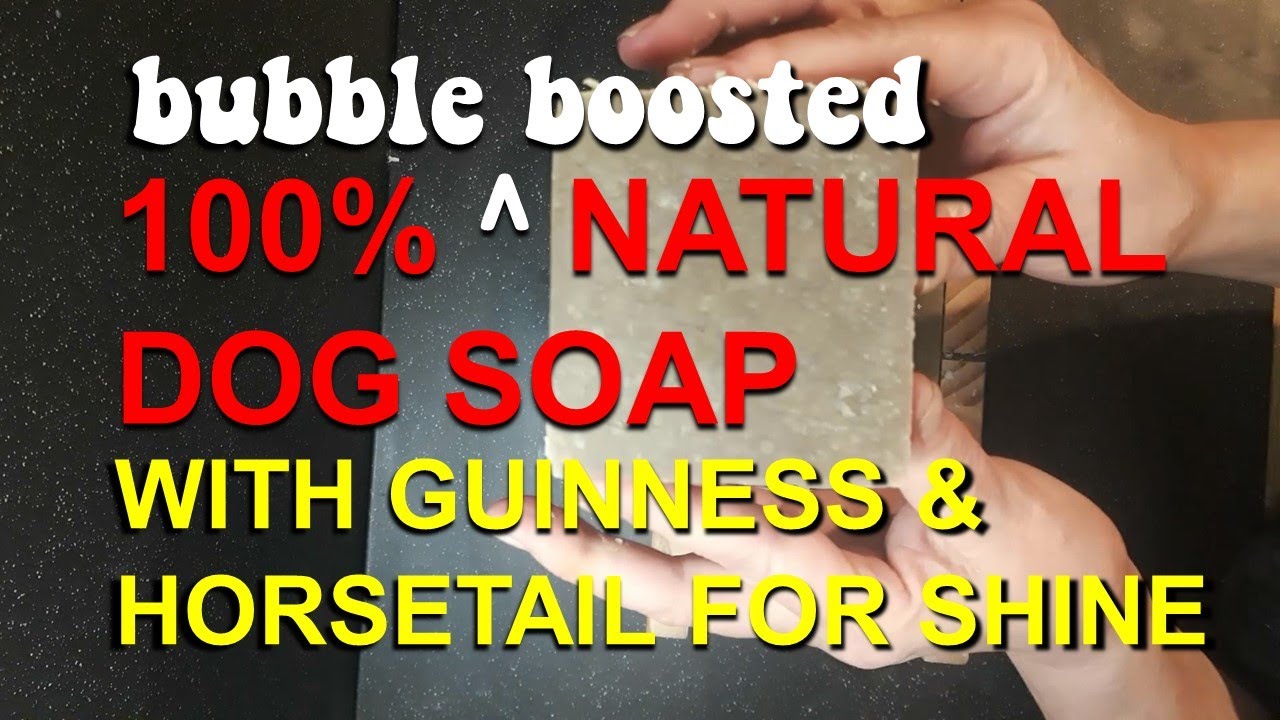 Dog Soap How To Make 100 Natural Dog Soap For Your Best Friend