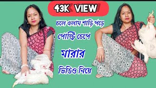 তমদর রকযসট শড পড চল আসলম পলট নয Polity