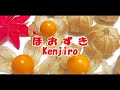 ほおずき / Kenjiro cover legend83