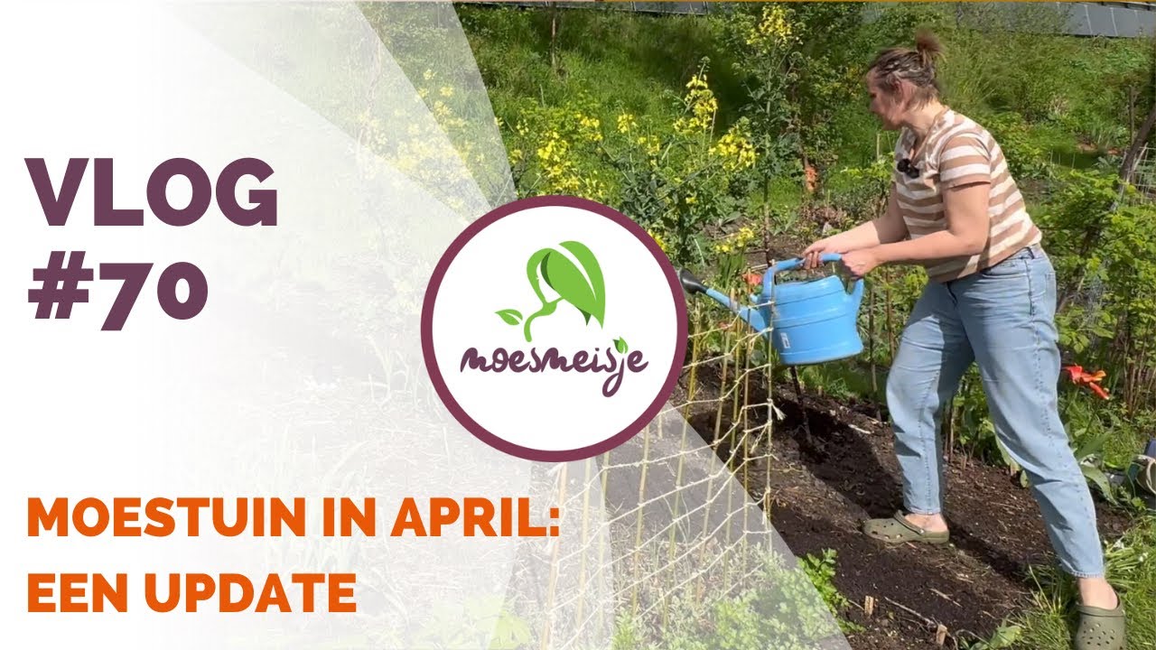 MOESTUIN VLOG #70 | Moestuin in april: een update binnen, uit de achtertuin én de moestuin! 🌱🐝🌼