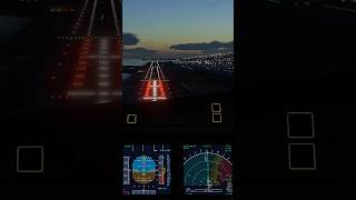 ToLiss A340-600 Landing at Tahiti NTAA