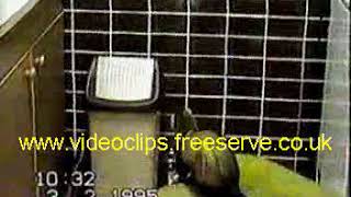 Çöp Kovasına Giren Rakun