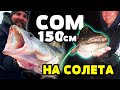 ГОЛЯМ СОМ и БЯЛА РИБА 70см с лайт въдица на язовир Логодаж / zander & catfish fishing