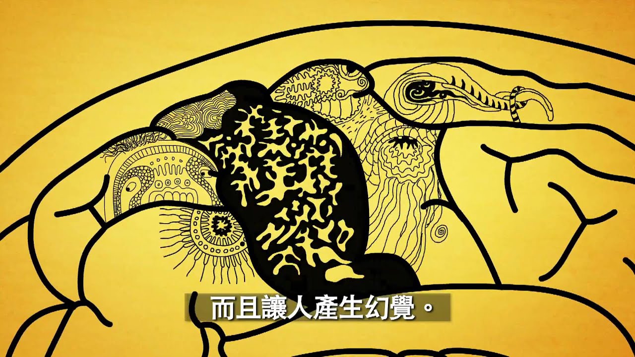 What Is Alzheimer's Disease (Traditional Chinese)