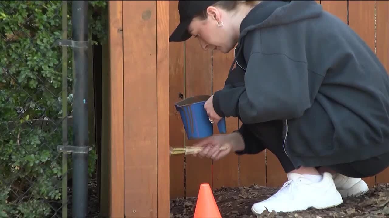 Building Goodness Foundation honors Women’s Day with volunteer work