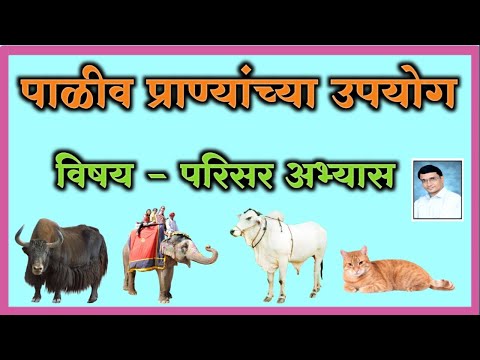 पाळीव प्राण्यांचा उपयोग  / Pet Animals Usages / विषय -परिसर अभ्यास/ Shree Techno Channel