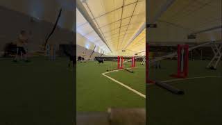 Increasing backside & threadle wrap distance while decreasing V-set on approach. #agilitydog