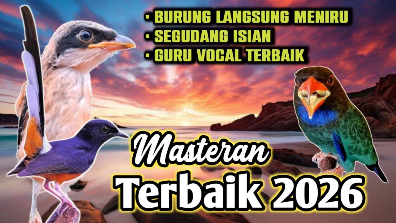 Masteran Terbaik 2026 Dengan Segudang Isian, Guru Vocal Terbaik Yang Pernah Ada, Burung Cepat Meniru