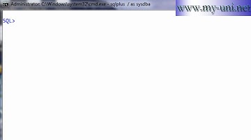 Oracle DBA, Export  data as CSV file, 1e19