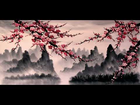 Xcho-Sakura