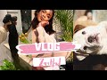 VLOG A FEW DAYS IN MY LIFE | ZARA HAUL