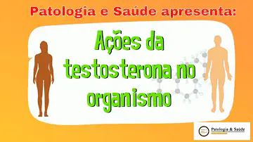 Como é feita a produção de testosterona?
