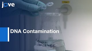 DNA Contamination in RNA Samples Analysis by Ribosomal DNA | Protocol Preview