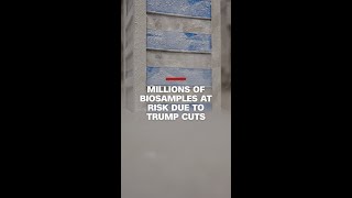 Millions of biosamples at risk due to Trump cuts