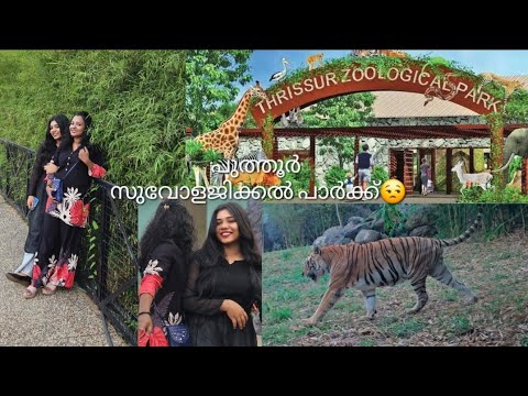 ഇതു വല്ലാത്ത ചതിയായിപ്പോയി 😒#kunjattamalusworld #shortreels #puthoorzoologicalparak