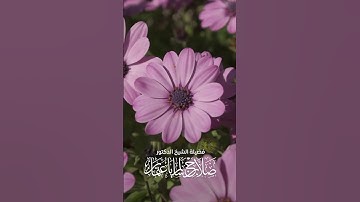 ادْعُ إِلَىٰ سَبِيلِ رَبِّكَ بِالْحِكْمَةِ وَالْمَوْعِظَةِ الْحَسَنَةِ ۖ | سورة النحل | آية 125