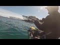 Kayak Fishing Lake Tahoe, Nice Brown Trout