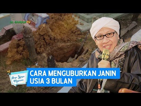 Video: Apakah pengelasan jirim berdasarkan komposisi?