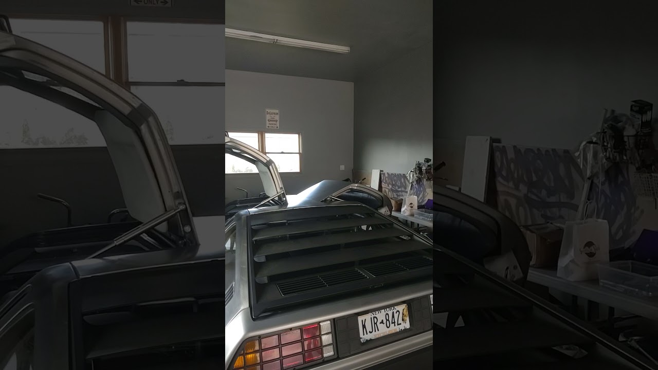 wings a loft DeLorean