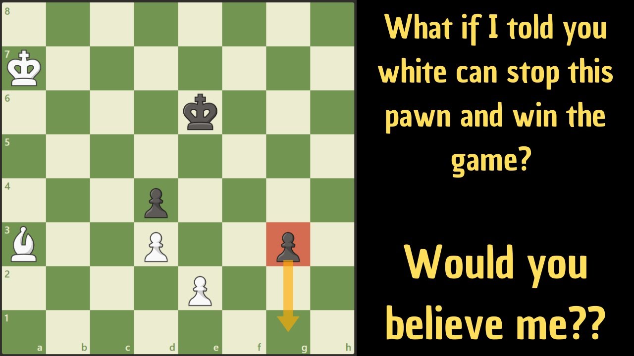 Это кажется невозможным, но белые побеждают!