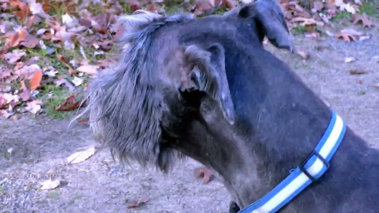 It Costs That Much Because It Takes Fucking Hours