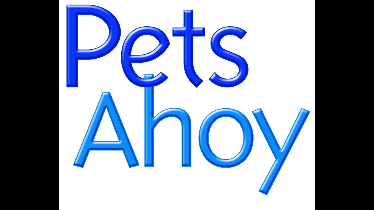 Pets Ahoy at SeaWorld, Orlando, Florida YouTube