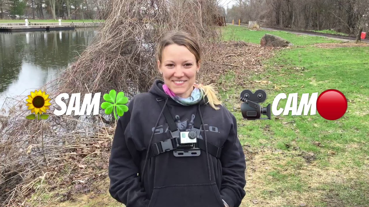 HUGE Carp fishing downtown Peterborough! CFN FISH OFF YouTube