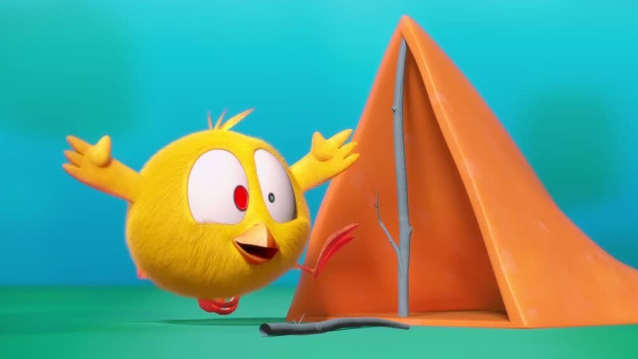 Chicky, the camping king | Where's Chicky? | Cartoon Collection in English for Kids | New episodes
