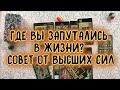 ГДЕ ВЫ ЗАПУТАЛИСЬ В ЖИЗНИ? Совет от Высших Сил | Таро онлайн расклад