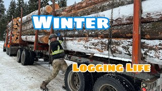 A Typical Day In The Life Of A Logging Truck Driver In The Winter|Logging Truck|Truck Driving