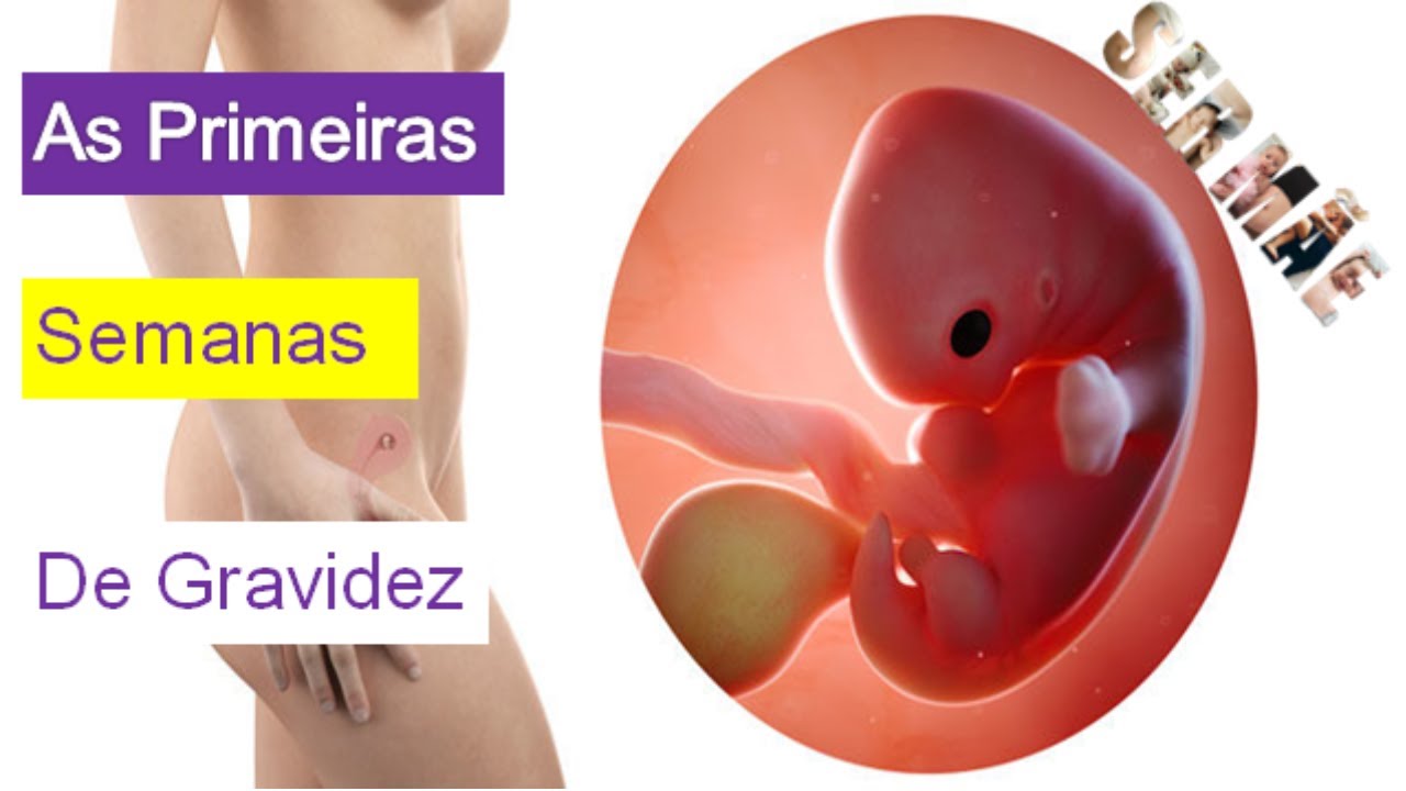 é Normal Nao Sentir Nada Com 6 Semanas De Gravidez