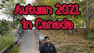 AUTUMN in CANADA | Fall 2021 | |കാനഡയടെ മനോഹരമായ കാഴ്ചകൾ | Cornwall, Ontario | #OruCanadianMalayali