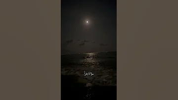ليلي ليل ياليل أغنية اكسبلور شغف قولوا لها ليلي ليل 2023 ترند ستوري ستوري واتس 
