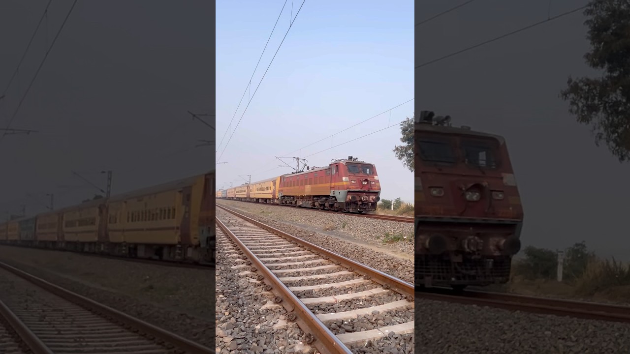 TrainVideo || TrainTrain || ViralTrain